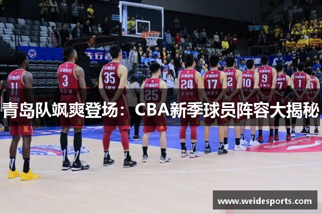 青岛队飒爽登场：CBA新季球员阵容大揭秘